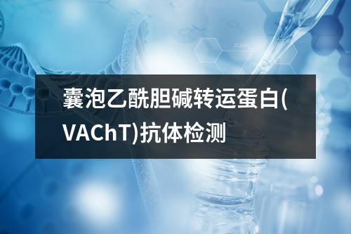 囊泡乙酰胆碱转运蛋白(VAChT)抗体检测