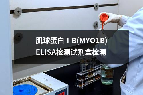 肌球蛋白ⅠB(MYO1B)ELISA检测试剂盒检测