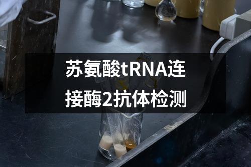 苏氨酸tRNA连接酶2抗体检测