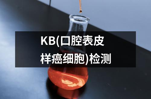 KB(口腔表皮样癌细胞)检测