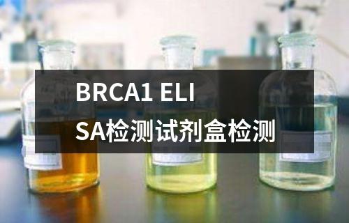 BRCA1 ELISA检测试剂盒检测