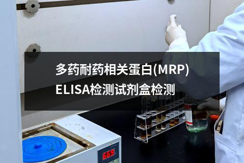 多药耐药相关蛋白(MRP)ELISA检测试剂盒检测