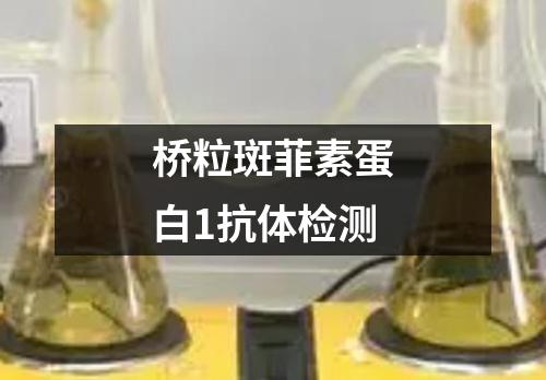 桥粒斑菲素蛋白1抗体检测