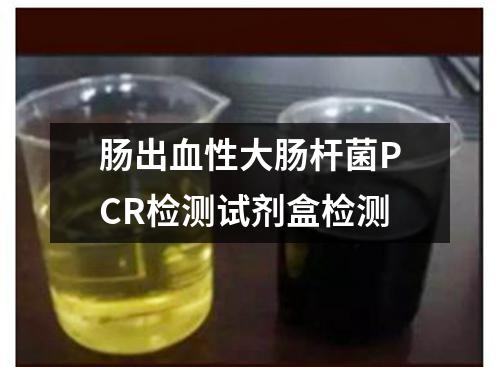 肠出血性大肠杆菌PCR检测试剂盒检测