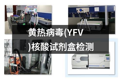 黄热病毒(YFV)核酸试剂盒检测