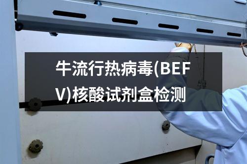 牛流行热病毒(BEFV)核酸试剂盒检测