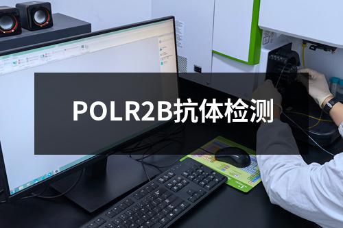 POLR2B抗体检测