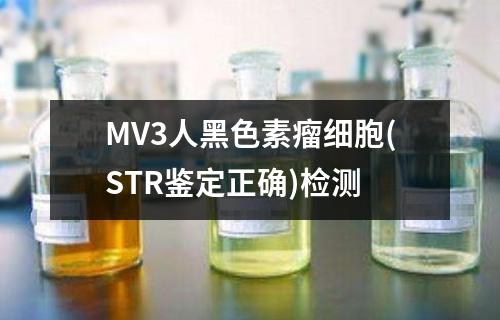 MV3人黑色素瘤细胞(STR鉴定正确)检测