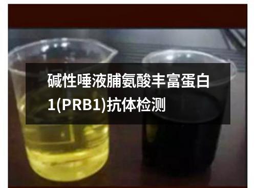 碱性唾液脯氨酸丰富蛋白1(PRB1)抗体检测