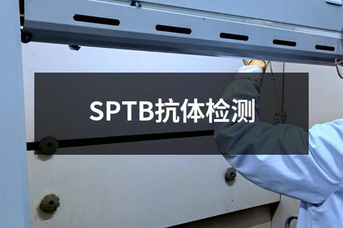 SPTB抗体检测