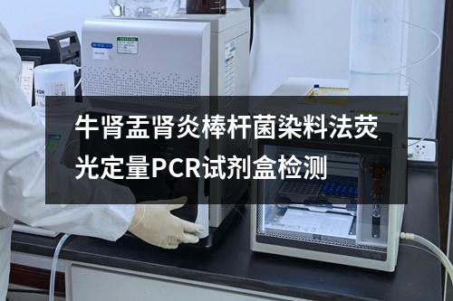 牛肾盂肾炎棒杆菌染料法荧光定量PCR试剂盒检测