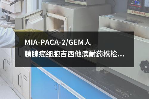 MIA-PACA-2/GEM人胰腺癌细胞吉西他滨耐药株检测