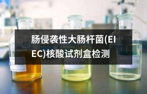 肠侵袭性大肠杆菌(EIEC)核酸试剂盒检测