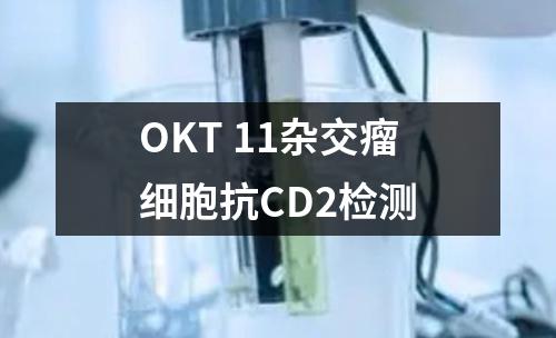 OKT 11杂交瘤细胞抗CD2检测