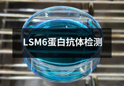 LSM6蛋白抗体检测