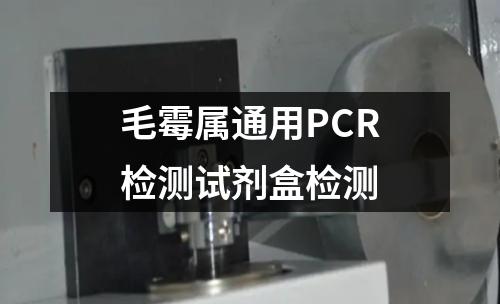 毛霉属通用PCR检测试剂盒检测