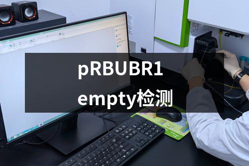 pRBUBR1empty检测