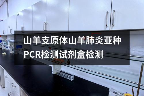 山羊支原体山羊肺炎亚种PCR检测试剂盒检测