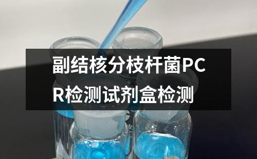 副结核分枝杆菌PCR检测试剂盒检测