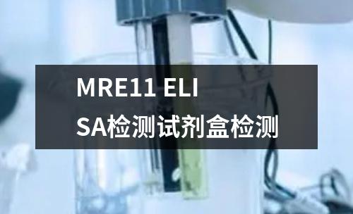 MRE11 ELISA检测试剂盒检测