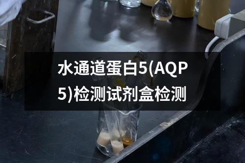 水通道蛋白5(AQP5)检测试剂盒检测