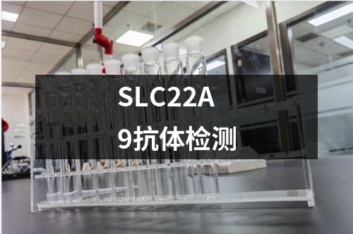 SLC22A9抗体检测