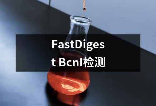 FastDigest BcnI检测