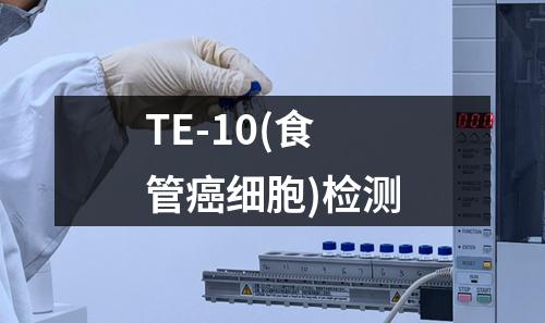 TE-10(食管癌细胞)检测