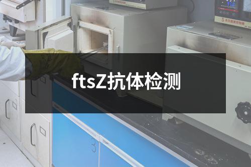 ftsZ抗体检测