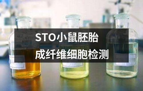 STO小鼠胚胎成纤维细胞检测