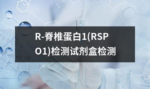 R-脊椎蛋白1(RSPO1)检测试剂盒检测