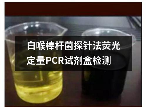 白喉棒杆菌探针法荧光定量PCR试剂盒检测