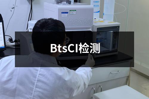 BtsCI检测