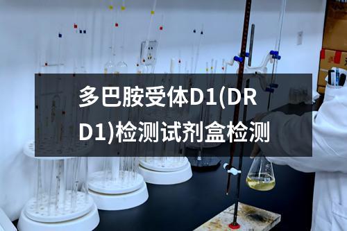 多巴胺受体D1(DRD1)检测试剂盒检测