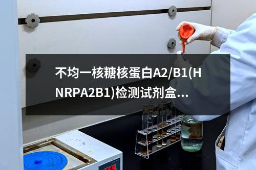 不均一核糖核蛋白A2/B1(HNRPA2B1)检测试剂盒检测