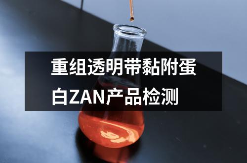 重组透明带黏附蛋白ZAN产品检测