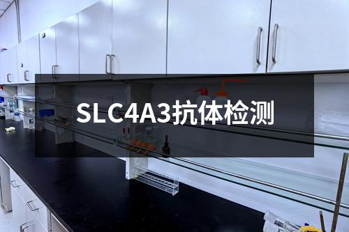 SLC4A3抗体检测