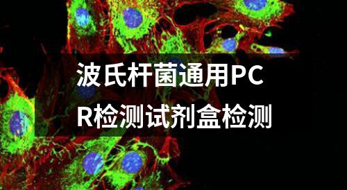 波氏杆菌通用PCR检测试剂盒检测