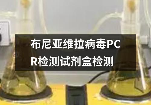 布尼亚维拉病毒PCR检测试剂盒检测