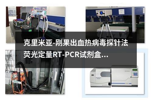 克里米亚-刚果出血热病毒探针法荧光定量RT-PCR试剂盒检测