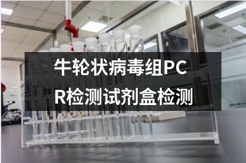 牛轮状病毒组PCR检测试剂盒检测