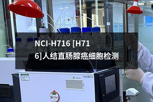 NCI-H716 [H716]人结直肠腺癌细胞检测