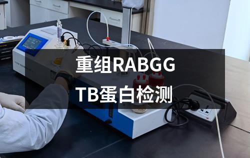 重组RABGGTB蛋白检测