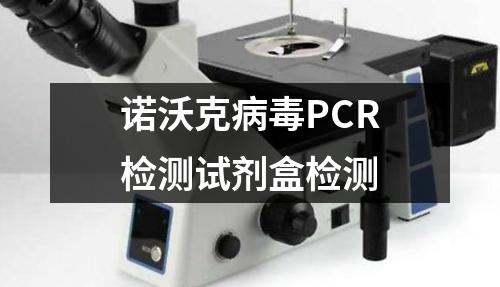 诺沃克病毒PCR检测试剂盒检测