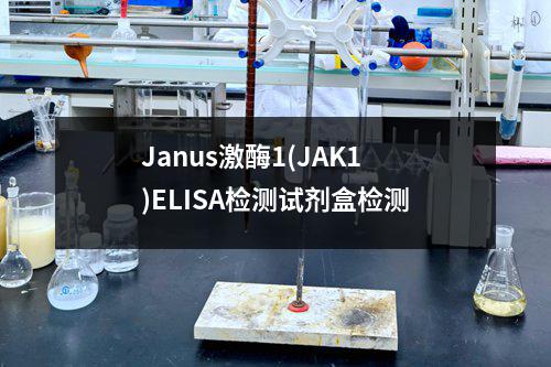 Janus激酶1(JAK1)ELISA检测试剂盒检测