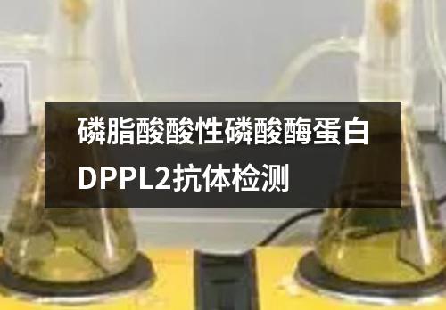 磷脂酸酸性磷酸酶蛋白DPPL2抗体检测