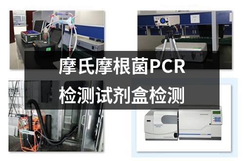 摩氏摩根菌PCR检测试剂盒检测