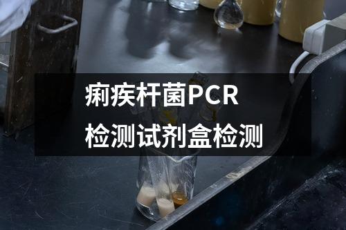 痢疾杆菌PCR检测试剂盒检测