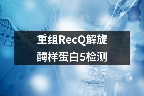 重组RecQ解旋酶样蛋白5检测