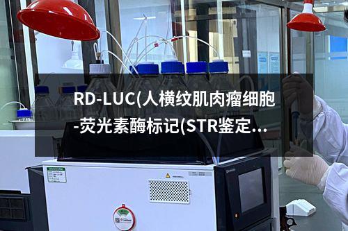 RD-LUC(人横纹肌肉瘤细胞-荧光素酶标记(STR鉴定正确))检测